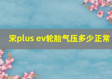 宋plus ev轮胎气压多少正常